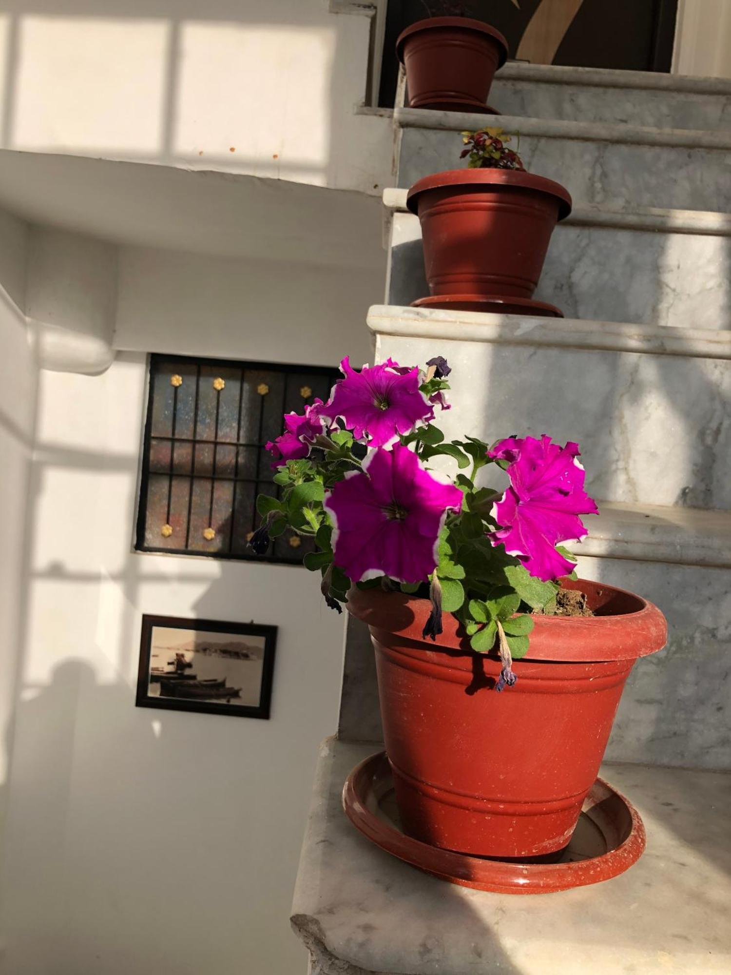 Hotel Nirvana Lakeside Udaipur Esterno foto